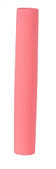 Футляр для зубной щётки и пасты Доляна, 20 см, МИКС